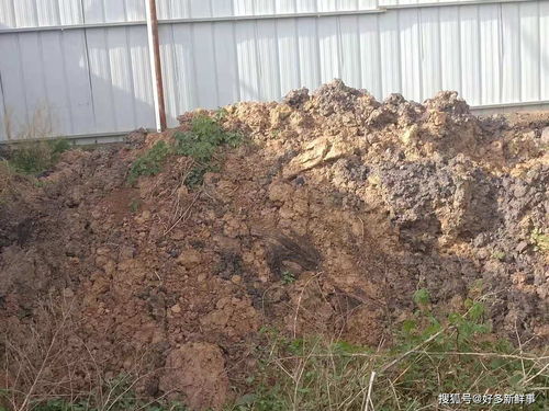 滑縣小鋪鄉大武莊照喜新型墻體材料廠污染環境，室內環境亟待治理